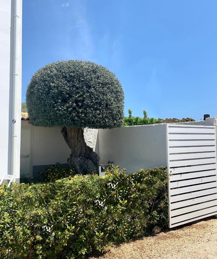 诺托Sun Of Sicily住宿加早餐旅馆 外观 照片