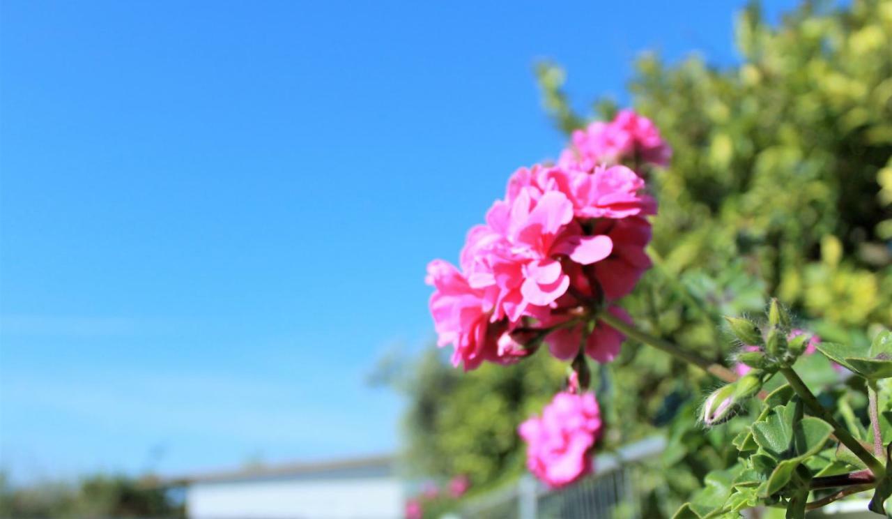 诺托Sun Of Sicily住宿加早餐旅馆 外观 照片